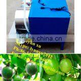 Passion Fruit Washing Machine /small Fruit Washer