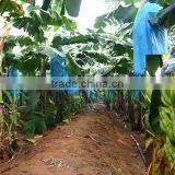 PP Spun-bonded Non Woven Fabric Use in Agriculture thumbnail-1