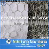 1.5" Heavy-Duty Galvanized Fish Trap Hexagonal Wire Mesh thumbnail-4