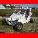 1100cc Dune Buggy (4x4)