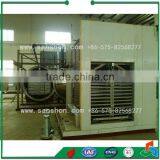 Advanced The Machinery Price Of Fruit And Vegetable Processing Freeze Drying Machine thumbnail-4