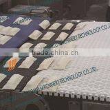 Frozen Food Transfer Conveyor thumbnail-1