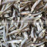 Microwave Dried Fish for Pet (turtle;lizard);Factory Price Dried Fish thumbnail-2