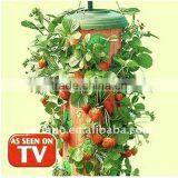 Planter, Strawberry Planter