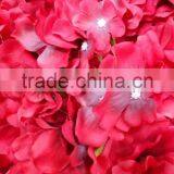 Easy Carry Newest Rose Flower Wall for Decoration in Factory Price thumbnail-3