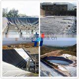 High Quality Hdpe Geomembrane for Pond Liner thumbnail-2