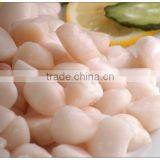 Frozen Scallop Meat,IQF thumbnail-1