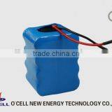 Customized LiFePO4 Battery 12V10AH for Power Tool