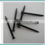 Hot Sale Black Concrete Nail/Dubai Market Black Steel Nail thumbnail-2