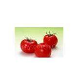 Supplying Lycopersicum Extract Lycopene thumbnail-1