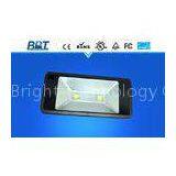 100Watt COB Marine Led Flood Lights Outdoor High Power Ip65 Floodlight