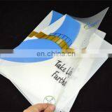 Custom Design Printed Plastic Clear a4 Folder