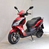 Electric Motorcycle Electric Scooter 1500W EEC for Adult thumbnail-2