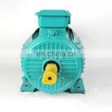 0.75KW YE2-80M1 Series Three-Phase Induction Motor AC Motor Electric Motor thumbnail-2