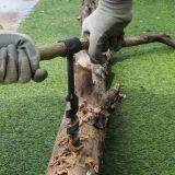 Scotch Eyed Wood Auger Drill Bit for Bushcraft and Camping thumbnail-5