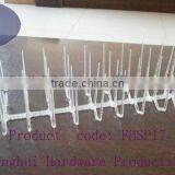 Whole Palstic Bird Spike With Most Durable thumbnail-3