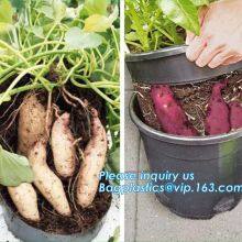 Plastic Garden Planter Pot Vegetable Growing Container Grow Vegetables: Potato, Carrot, Tomato, Ginger, Peanuts Onion, Flower Nursery Pots, Balcony Garden thumbnail-5