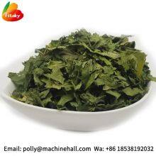 High Quality Organic Dried Celery Flakes Wholesale Price thumbnail-1