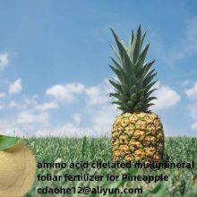 Chelated Calcium Magnesium Zinc Boron Molybdenum Organic Foliar Fruit Fertilizer thumbnail-2