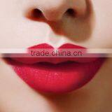 Customize Private Label Herby Lipstick Wholesale Matte Lipstick Brands Label Cosmetics Lipstick thumbnail-5