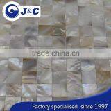 Natural Varicolored River Shell Mosaic