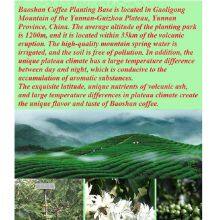 Instant Coffee Black Coffee Golden Mandheling thumbnail-5