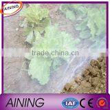 Hot Sale Greenhouse Insect Net