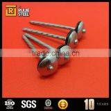 Bright Steel Nail ,umbrella Head Roofing Nails,large Head Iron Nails thumbnail-4