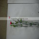 Elegant in Smell Factory Direct High Quality Flower Carnation thumbnail-3