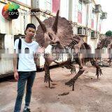 High Simulation Fiberglass Triceratops Dinosaur Fossils