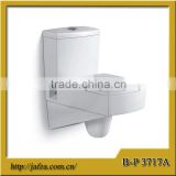3717 Ceramic Washdown Wall Hung Toilet