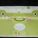 Custom Made Plastic a4 a3 Size File Folder