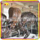 KANO2196 Museum Standard Artificial Life Size Animal Skeleton thumbnail-2