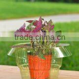 Plastic Garden Cloche