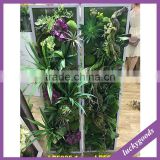 large size indoor decoration fancy succulent plant photo frame for sale