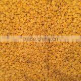 Vietnam High Quality Green Mung Bean With Best Price thumbnail-2