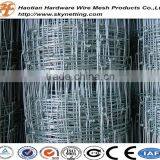 Hot Dipped Galvanized Grassland Fence Mesh Wire Mesh thumbnail-3