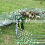 sheep round yard sheep yard gates in galvanized