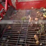 New Design Top Quality Hydraulic Tractor PTO Use Automatic Two Rows Potato Combine Harvester Digger With CE Certification thumbnail-6