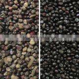 Agricultural Machines Advanced Seed CCD Color Sorting Machine thumbnail-5