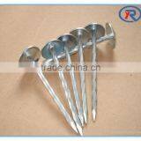 Prego Clavos BWG9 2.5 Inch Twisted Shank Galvanized Umbrella Head Roofing Nail thumbnail-2