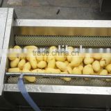 Potato Washing Peeling Prodcution Line Processing Line