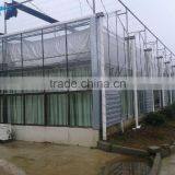 Complete Equipments Glass Greenhouse For Sale thumbnail-5