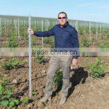 Vineyard Pole Factory in China thumbnail-1