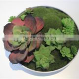 brand name plastic small multicapacity process artificial round plate bonsai decor