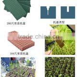 the Application of Floral Foam in Agriculture& Plant Cultivation thumbnail-3