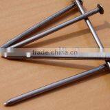 Galvanized Roofing Nails With Umbreall Head thumbnail-3