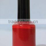 READY STOCK Nail Polish Bottle ,Cap,Brush Sets India thumbnail-3