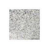 Sell Granite Countertop Slab (Yantai White) thumbnail-1