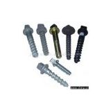 Sell Square Head Screw Spikes